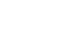 44magnum.png